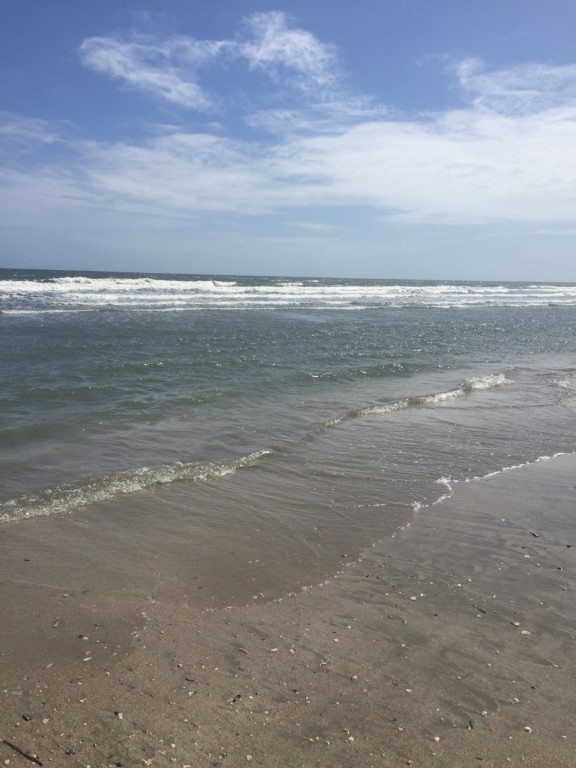 The good, the bad, and the sandy; a review of Charleston area beaches