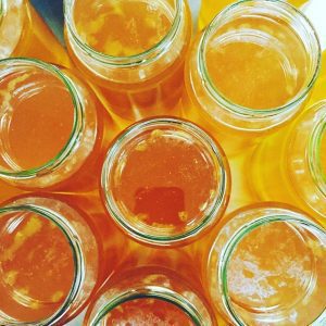 A Nutritionists View on Bone Broth and Fasting