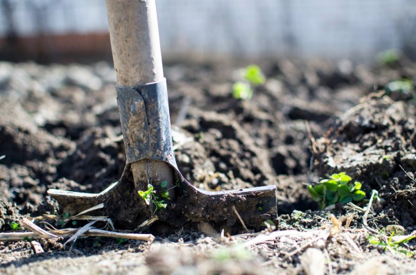 Four Ways to Prepare Your Yard for Spring - Before Planting