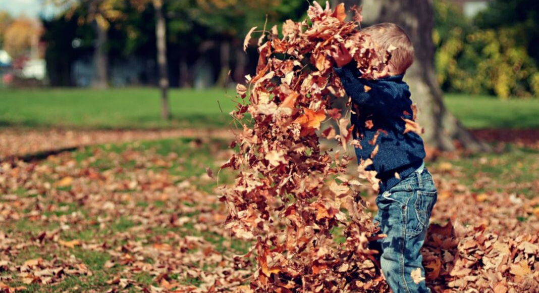 A Family Bucket List for Some Fall-Themed Fun Charleston Moms