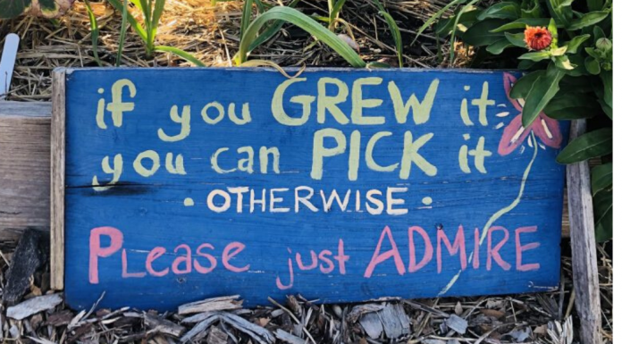 Grow Your Own Food_ Community Gardens around Charleston Can Help Charleston Moms