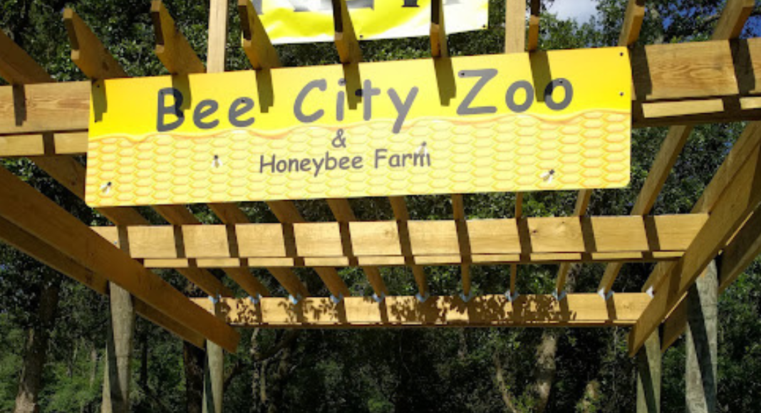 Bee City Zoo, animal, petting zoo, website, zoo