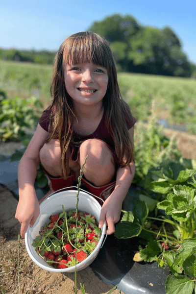 A little girl smiling and sitting in front of strawberries in a field, with a white bucket full of strawberries.