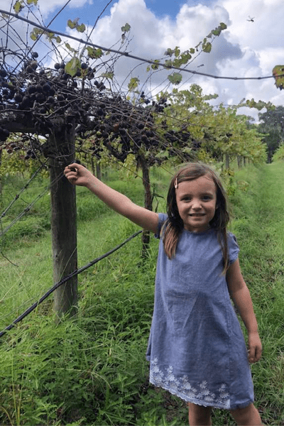 A little girl in a gray dress is smiling, standing next to and reaching up to the grape vines at Deepwater Vineyard on Wadmalaw Island.