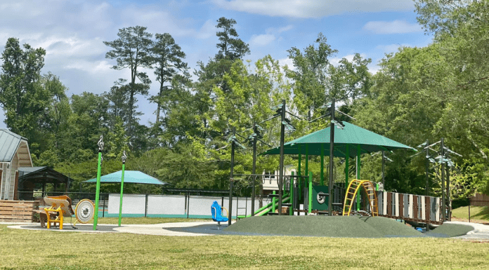 far away view of Saul Alexander Playground