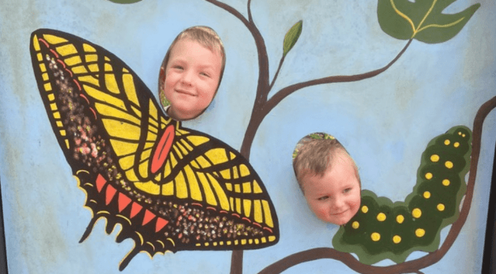 wildlife in charleston: two young boys poking their faces through holes in a painting -- one is a butterfly and the other is a caterpillar.