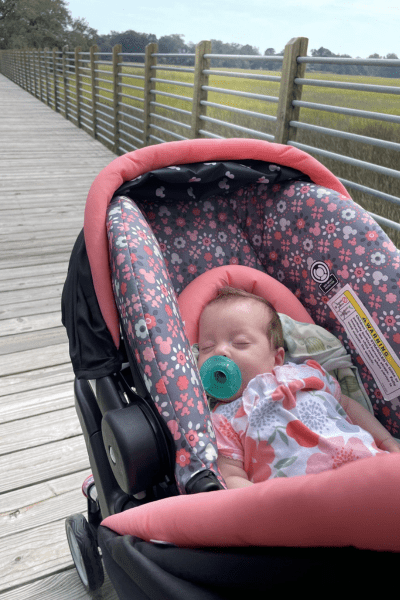 A baby sleeps in a stroller on a bridge going over a marsh.