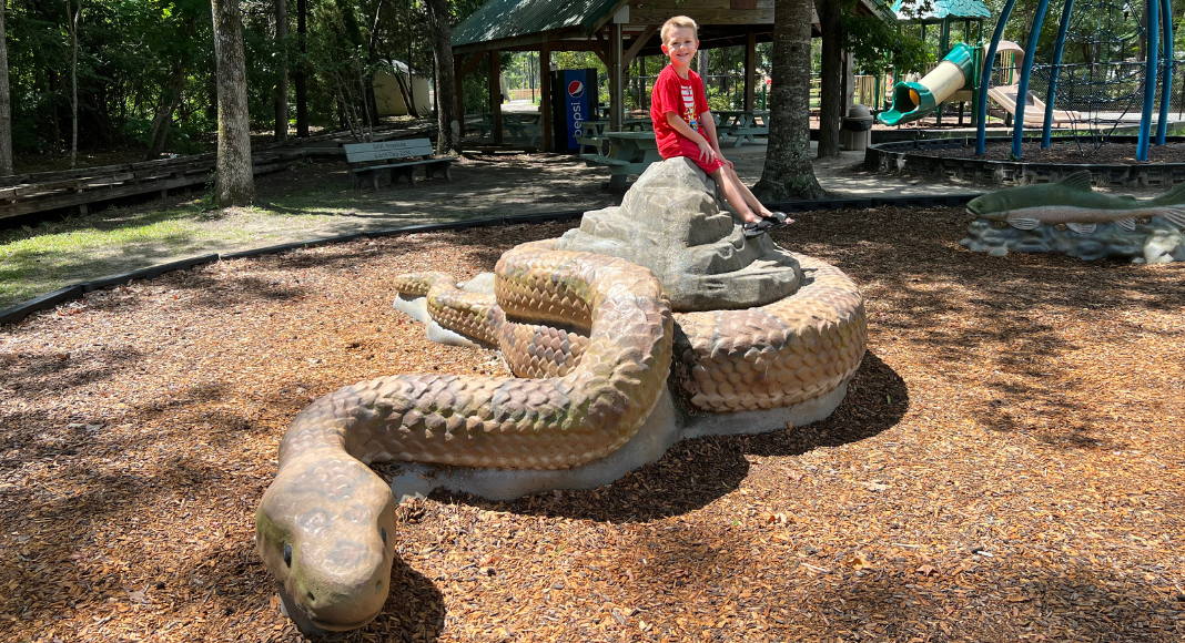 A young boy sits atop a snake shaped climbing structure.