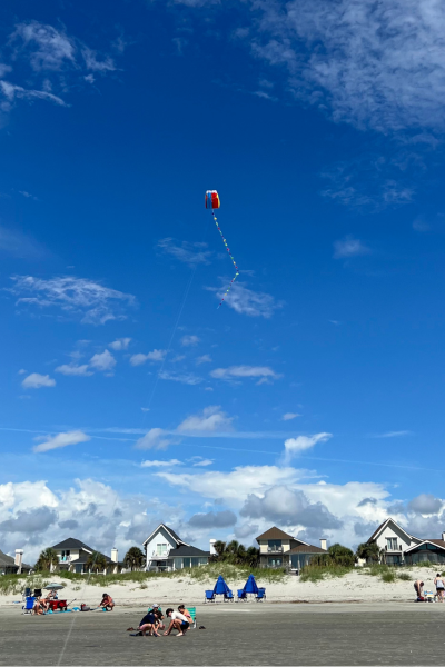 With the Gold Pass, people enjoy a day at the beach. A kite flies in the sky.