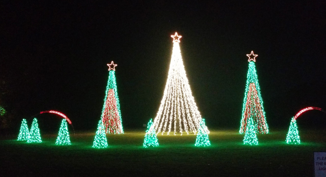 Christmas trees made with strings of light