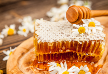 honeycombs surrounded by daisies