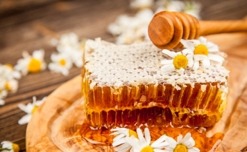 honeycombs surrounded by daisies
