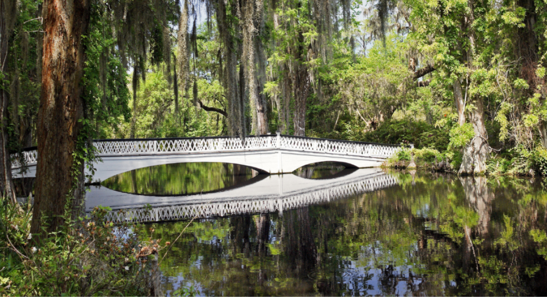 White bridge spanning over swampy water surrounded by trees and other plants.