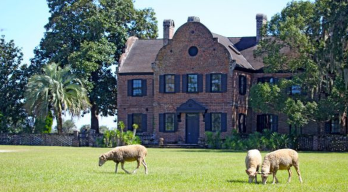 Large brick home with sheep eating grass in the foreground at Middleton Place
