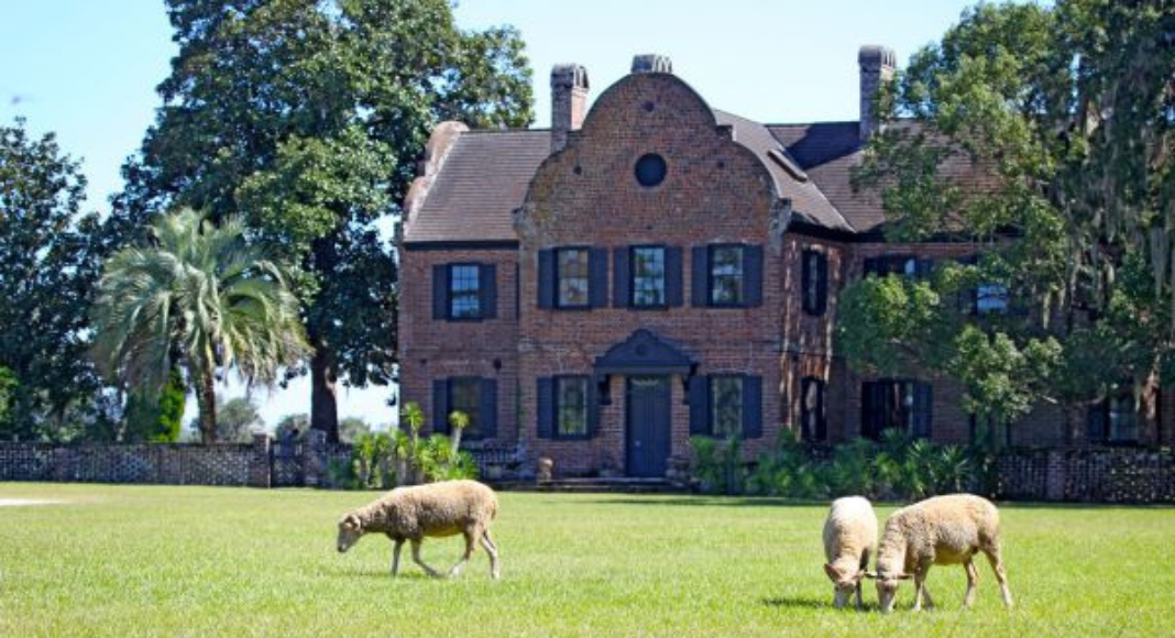 Large brick home with sheep eating grass in the foreground at Middleton Place