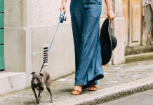 fall trends: a woman in wide-leg pants walking her dog