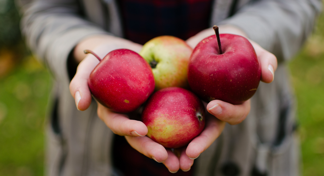 EASY Apple Recipes: A woman holding 4 apples piled in her hands