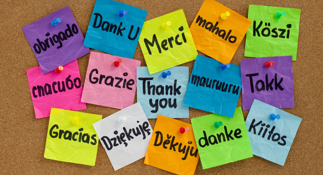 New language: Notes tacked to a bulletin board all saying "thank you" in different languages