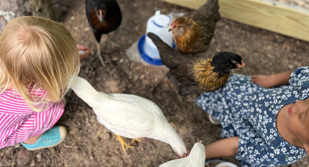 Two little girls crouch down around chickens in their coop with an automatic water feeder in view.