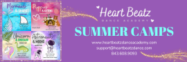 Heart Beatz Summer Camps - Website header