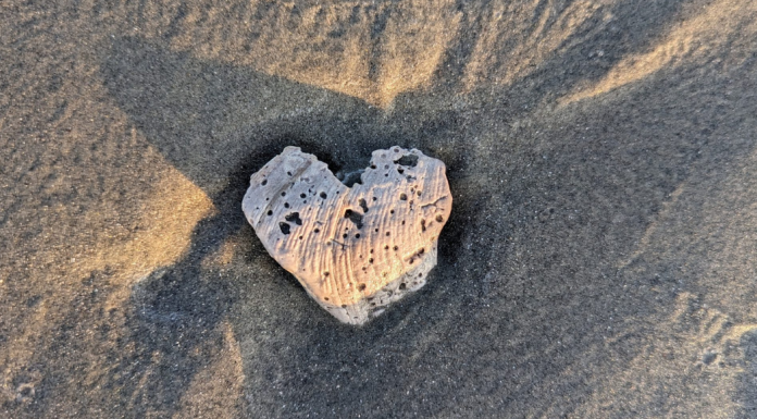 Date ideas Folly Beach: A heart-shaped seashell in sand.