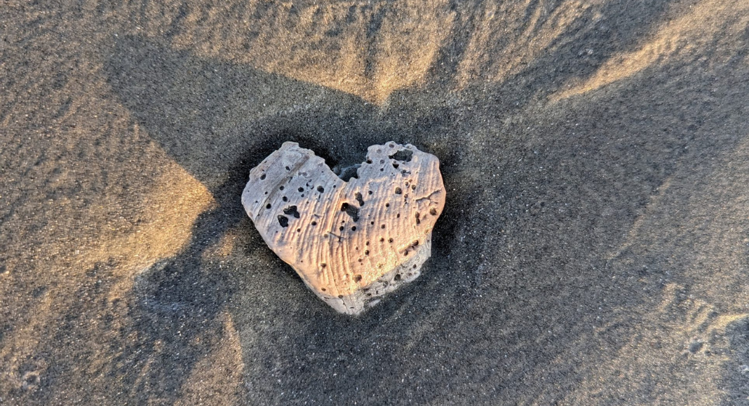 A heart-shaped seashell in sand.