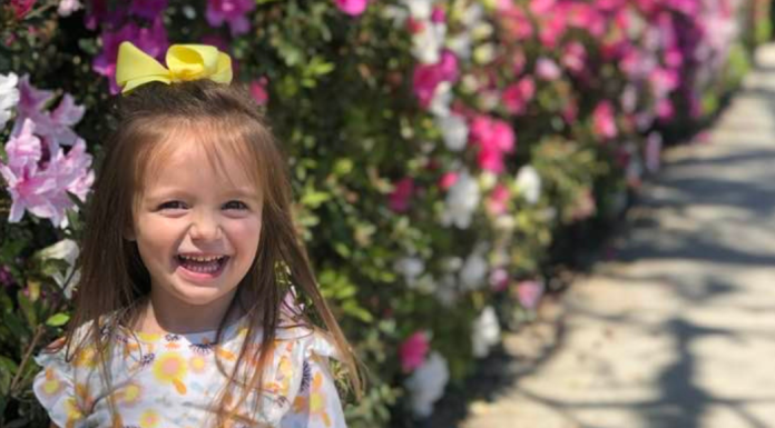 A little girl smiles in front of bushes of azaleas.