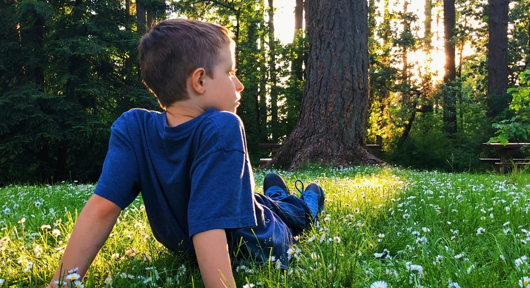 Arbor Day: a boy relaxes on the grass looking out onto a forest of trees.