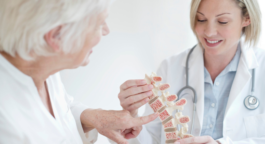 An elderly woman discussing osteoporosis with a woman doctor. The doctor is holding a replica of a spine.